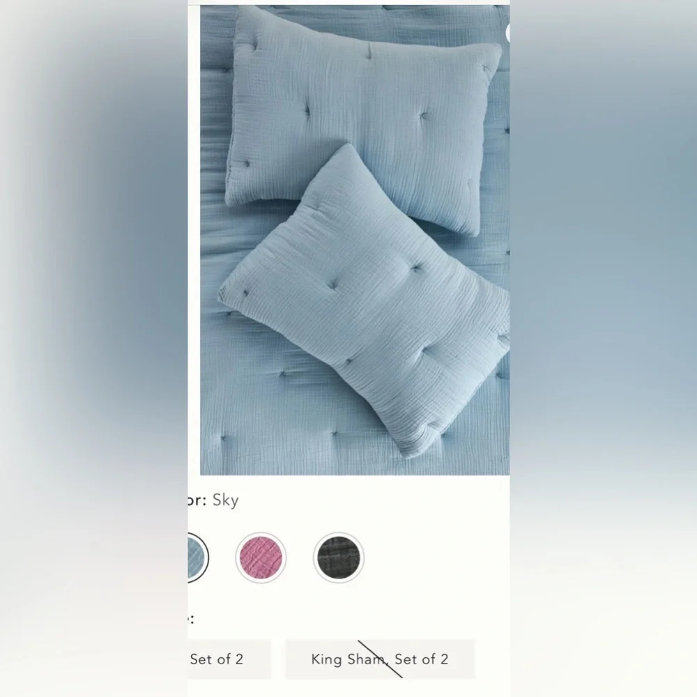 Anthropologie Elysian Cross-Dyed Cotton Gauze King Shams (2) New But READ